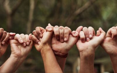 Parte 8: Constelaciones Familiares y Trauma. Recursos para la integración